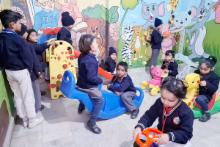 ACTIVITY